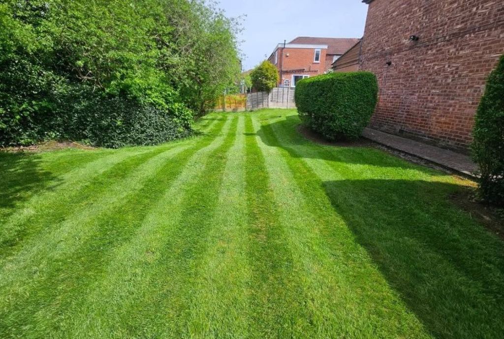 Garden lawn and borders