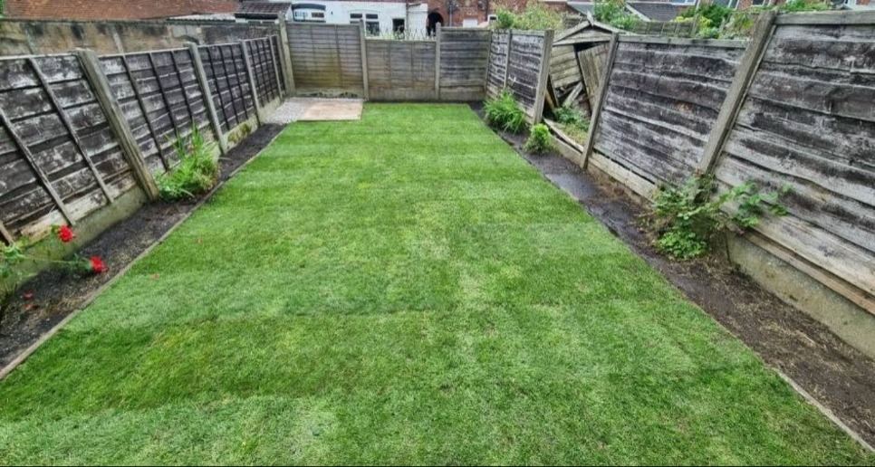 New turf in a narrow terraced garden, Moston